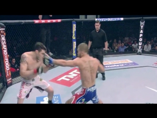 Jeremy stephens knocks out rony jason by gadji