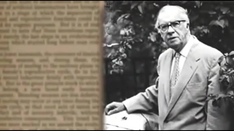 Евгеника и программы сокращения населения