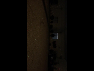 Alison sudol instagram story #1