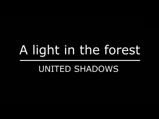 Ftisland a light in the forest (rus sub saicogoat)