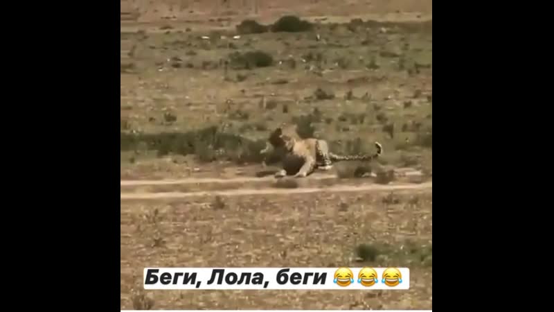 Маман в обиду не даст 😂😂😂