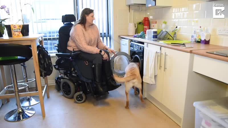 Disabled woman teaches dog to help with washing