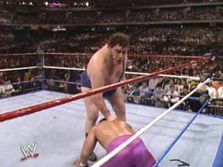 Wwf wrestlemania 6