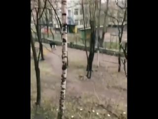 Достали уже со своим телеграмом