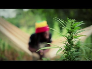 Jesse royal gimmie likkle ⁄ finally [traphd]