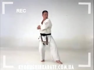 Seienchin kata kyokushin karate