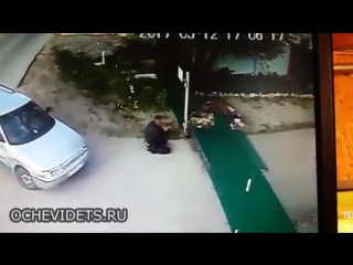 Ибо нефиг дразнить собак