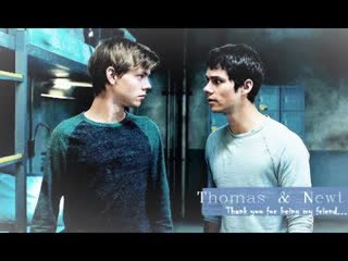 Thomas & newt | "thank you for being my friend " ts