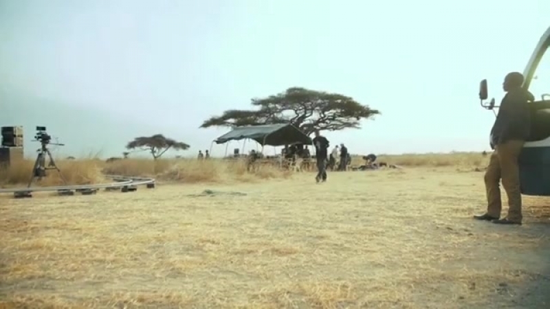 Alligatoah in kenia
