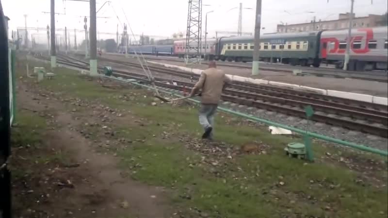 Насрал, иди убирай кавэлики