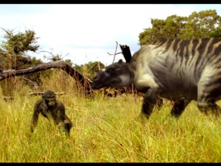 Прогулки с чудовищами 4 я серия ближайший родственник / walking with beasts (2001)