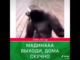 Видео от аслана асланова