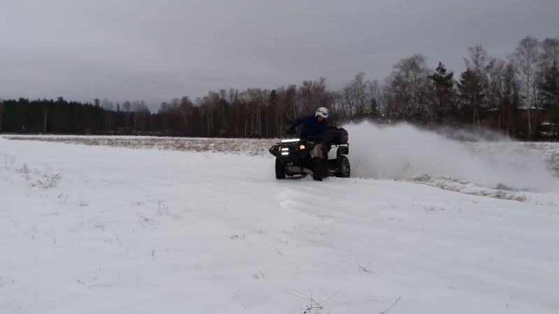 Выгул лепарда)))