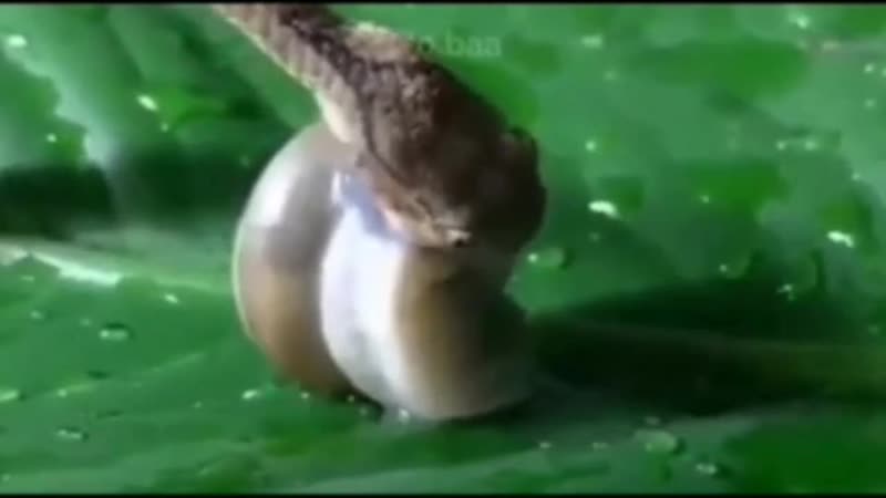 Небольшой перекус