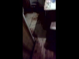 Vid 20191119 182420 mp4