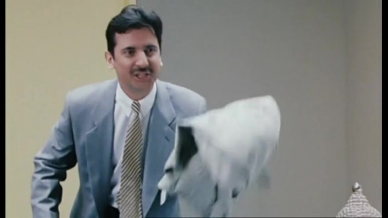 ◄search and destroy(1995)найти и уничтожить* салль