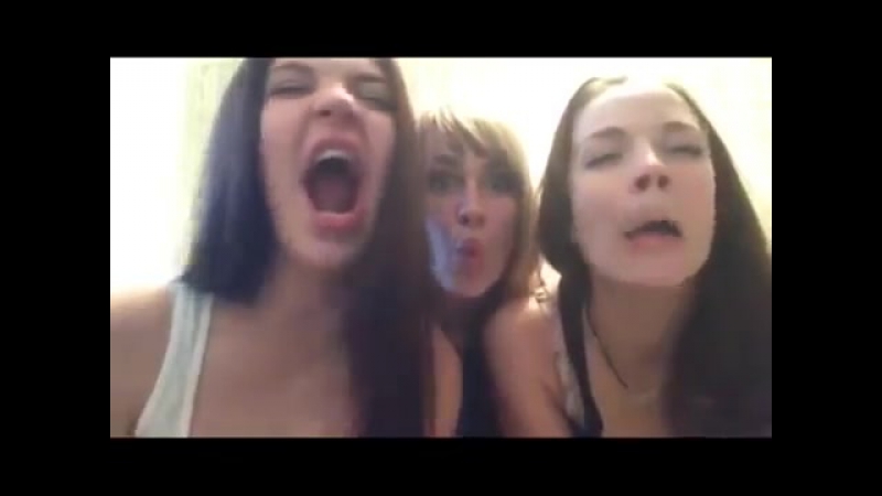 Шимпанзе и камера, документальный фильм bbc