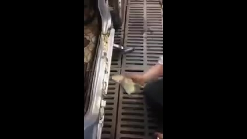 Пороги из пены [ ]