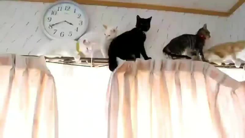 Vmin, managers by porn ⁺¹⁸