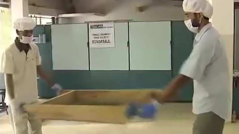 [как это сделано] как выращивают и собирают черный перец | harvesting black pepper