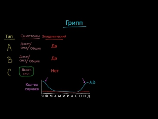 Три типа гриппа