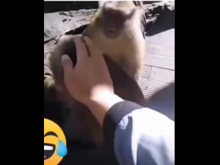 Отстань от моей девочки