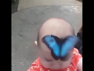 Мимимишечка с бабочкой 😀👶🦋 #преамбуладосуг