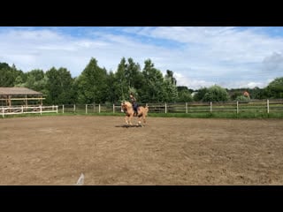 Перемена ноги в воздухе