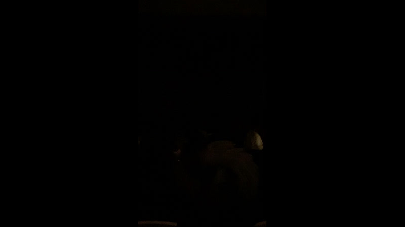 «уральская красавица 2021»