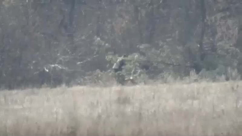 Снайперы ополчения работают по украинской армии, горлоа, 2019 год