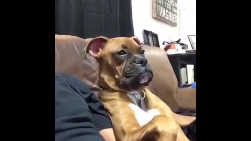 Хозяин скачал сериал, 3 сезона