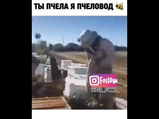 1video funny +instautility 00 b4zhmbiblpp 11 mp4