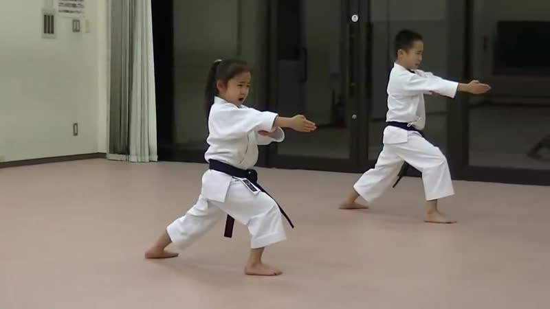 Jka mahiro masaki practice heian shodan godan and tekki shodan part 2