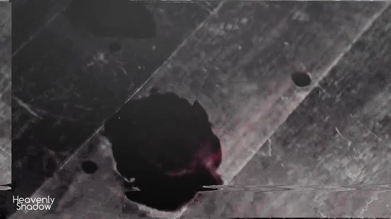 Clary and jace shadowhunters secrets [dark au]