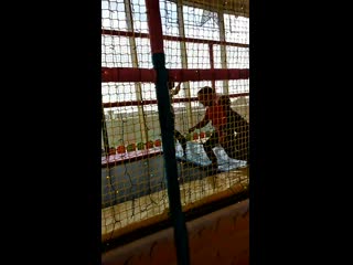 Vid 20190404 164241 mp4