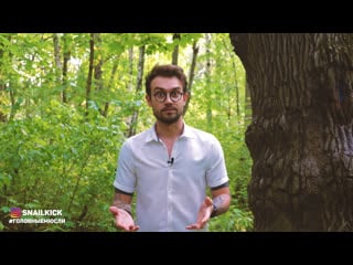 Провокация (с) snailkick