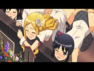 Hmv idol sister