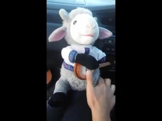 Развели дядю ваню )