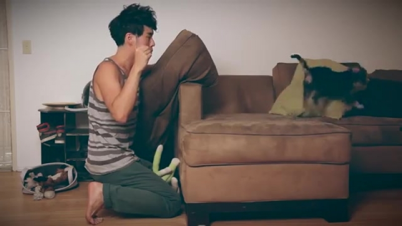 Странности собачника