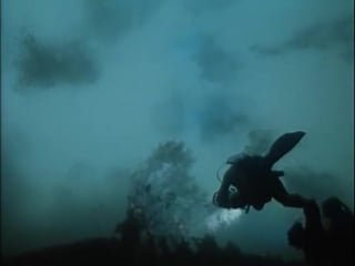 Повторное открытие мира #8 новая зеландия роза и дракон