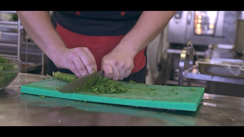 Студенческие сервисные отряды