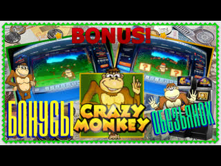 Как играть в crazy monkey[крейзи манки] реально ли обыграть вулкан онлайн бонусы обезьянок