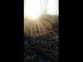 Vid 20201117 141916 mp4