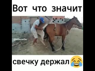 Whatsaper ru свечку держал mp4