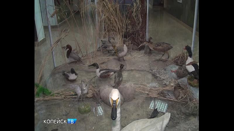 Видеоэкскурсия о живой природе