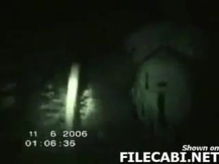 «падший ангел» в лесу