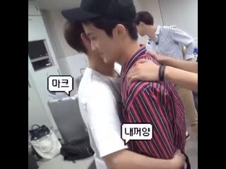 Котята обнимаются тт