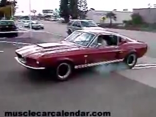 Ford mustang shelby cobra gt 500