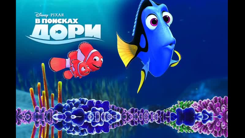 В поисках дори