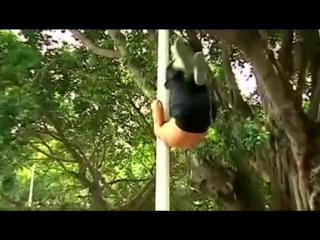 61 year old chinese pole master
